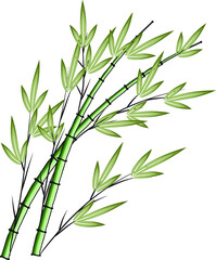 vector drawing bamboo 