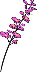 vector drawing Plum blossom