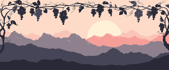 Narrow landscape -- bunches of grapes at sunset. Vector illustration, narrow background, night in the vineyard.