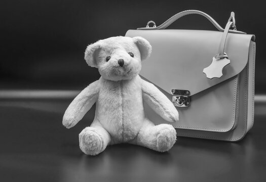 Women Fashion Handbags And Pooh Bear