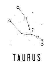 Taurus Zodiac Constellation signs with title vector illustration. Zodiac horoscope astrology constellation, isolated linear symbols. Vector illustration zodiac in simple cartoon style.