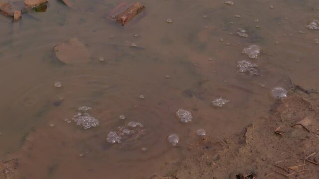 gas bubbles going up through mud and water. gasfield in western ukraine