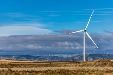 wind turbine in the foreground with many wind turbines on the horizon