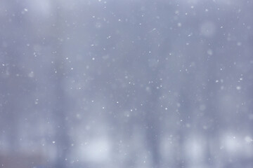 Obraz premium blurred background snowfall nature, abstract falling snowflakes design