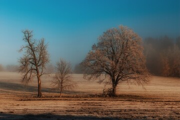winter
