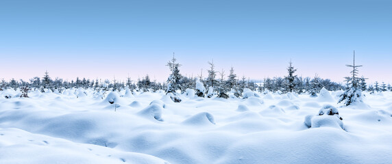 Panoramic winter snow landscape with snow covered trees.