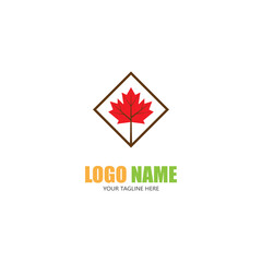 Maple leaf vector illustration design template