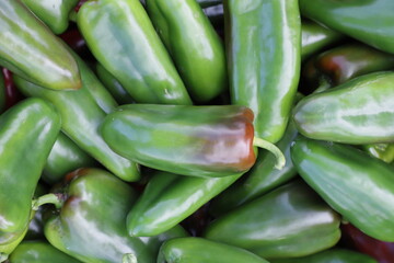 field peppers