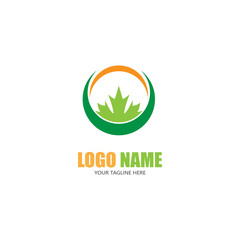 Maple leaf vector illustration design template