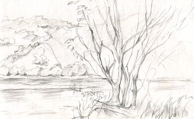 tree on the river bank and hills sketch