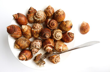 grilled spotted babylon on white plate. Areola babylon or spotted babylon.