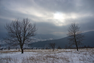 Rural landscape in winter Carpathian mountains