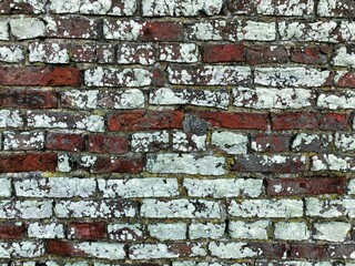 A worn and weathered whitewashed brick wall background with copy space