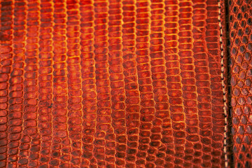 Stitched and polished tightly made of genuine African Varanus lizard leather. Selective focus, close-up.