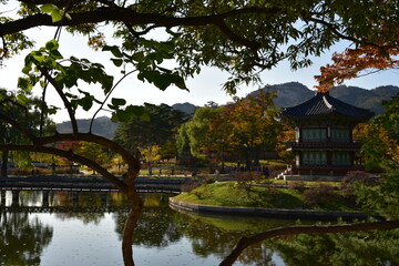 korean garden in autumn