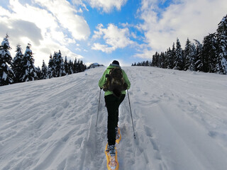 Snowshoeing adventure