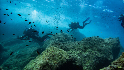 Excursión de Buceo