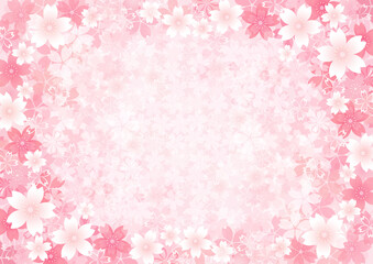 桜のバックグラウンド、大量の桜吹雪の背景素材