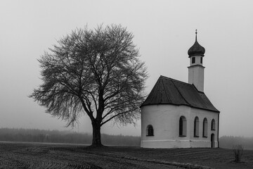 church, Tree, Landscape, Fog, 