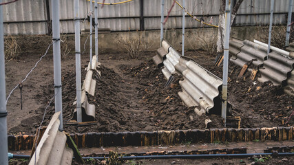 Shelter for grapes in the winter in the home garden.