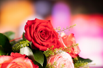 Bunch of roses on the bokeh background. Valentines gift. 