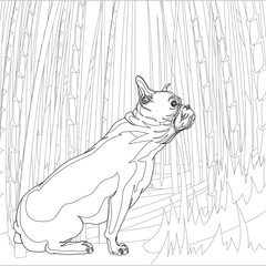 Coloring Book or Coloring Page Black And White Cartoon   Purebred Dogs or Puppies