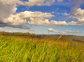 beautiful clouds in the blue sky above the meadow
