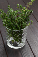 Thyme sprigs in glass.