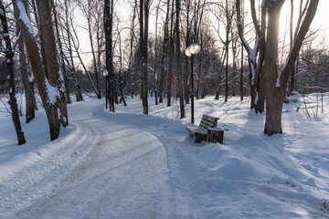Path through park in winter