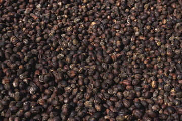 High angle shot of the harvest of freshly collected coffee beans