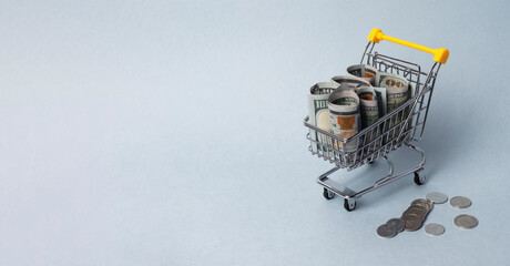 Shopping cart with money. Concept of purchasing power and expenses on food - obrazy, fototapety, plakaty