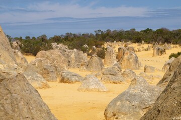 The Pinnacles Desert