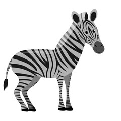 Obraz na płótnie Canvas cute cartoon flat zebra from side, vector isolated on white, illustration for children