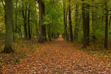 Autumn in castle garden in Konopiste near Benesov,Central Bohemia,Czech republic,Europe
