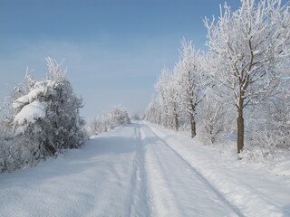 Obraz premium Winter landscape at Neufeld an der Leitha, Burgenland,Austria,Europe 