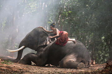 Fototapeta na wymiar Thailand Countryside; Women and elephant on the forest background, elephant Thai in Surin Thailand.