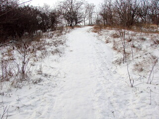 View from the forest on a snowy trail that rises to the top of the hill surrounded by bare winter vegetation.