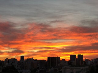 Fototapeta premium Sunset over Tokyo, Urban Design., Japan