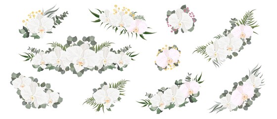 Collection of flower compositions. White orchid, eucalyptus, various plants and flowers, gypsophila