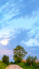 Rural landscape with a road in the field and a beautiful sky, vertical format