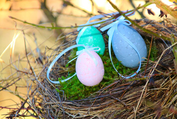 Obraz premium nest mit ostereier im garten