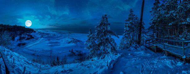 Panoramic view of snowy beach with dunes and Baltic sea surrounded by conifer trees forest in Baltic in a moon light at starry night. View of coast against night sky with stars and full moon.