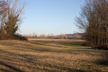 Obraz premium An empty field with hills, shrubs and trees in the background in a sunny winter day
