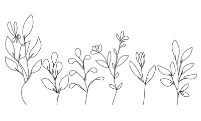 Flowers Set Continuous Line Drawing.  Set Of Plants Black Sketch Isolated on White Background. Leaves and Flowers One Line Illustration for Modern Botanical Design, Prints, Wall Decor. Vector EPS 10.