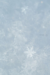 Detail of snowflakes in winter.