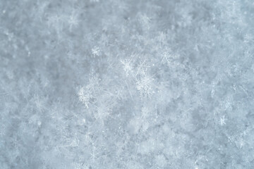 Detail of snowflakes in winter.