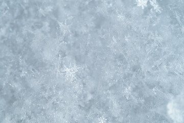 Detail of snowflakes in winter.