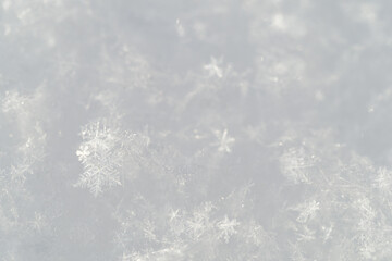 Detail of snowflakes in winter.