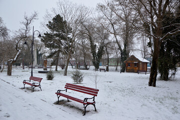snowy winter in rural village Backi Petrovac, Vojvodina