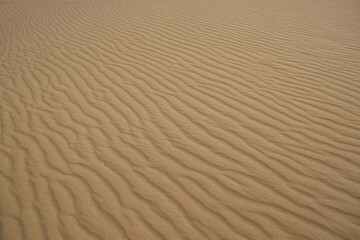 Beautiful view of rippled sandy surface in desert as background